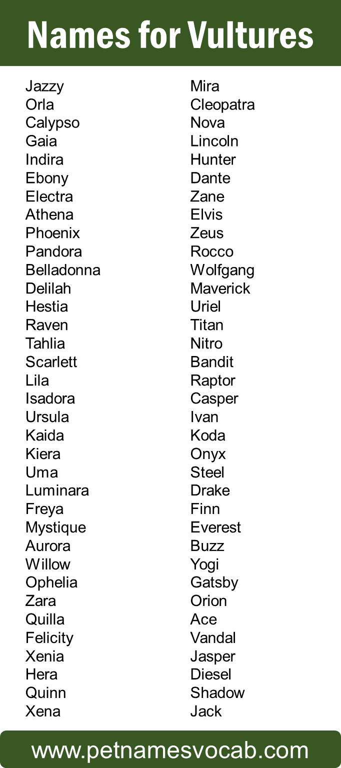 Names For Vulture