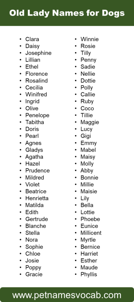 List of Old Lady Names for Dogs: Cute, Funny - Pet Names Vocab