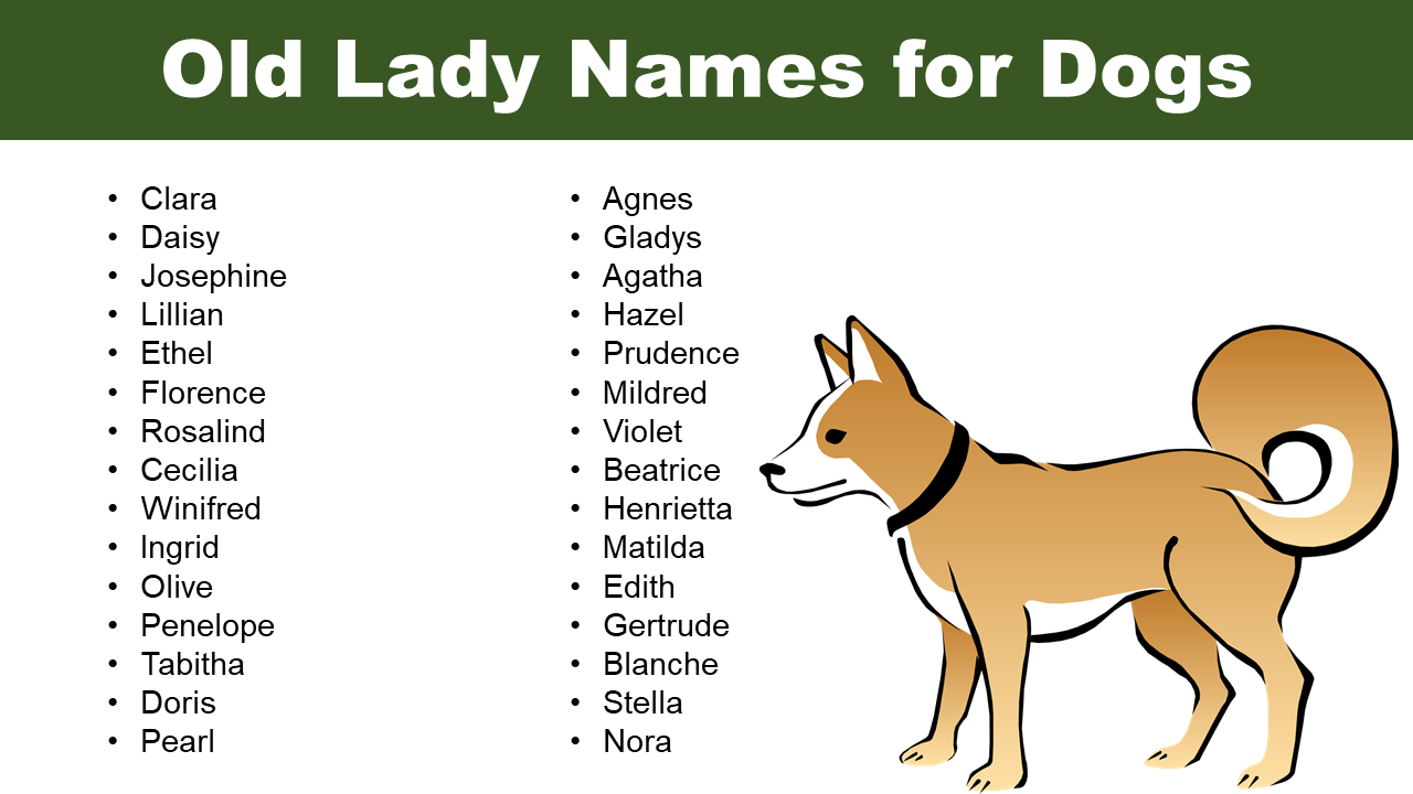 Old Lady Names for Dogs