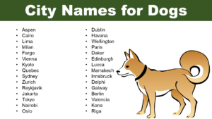 City Names for Dogs