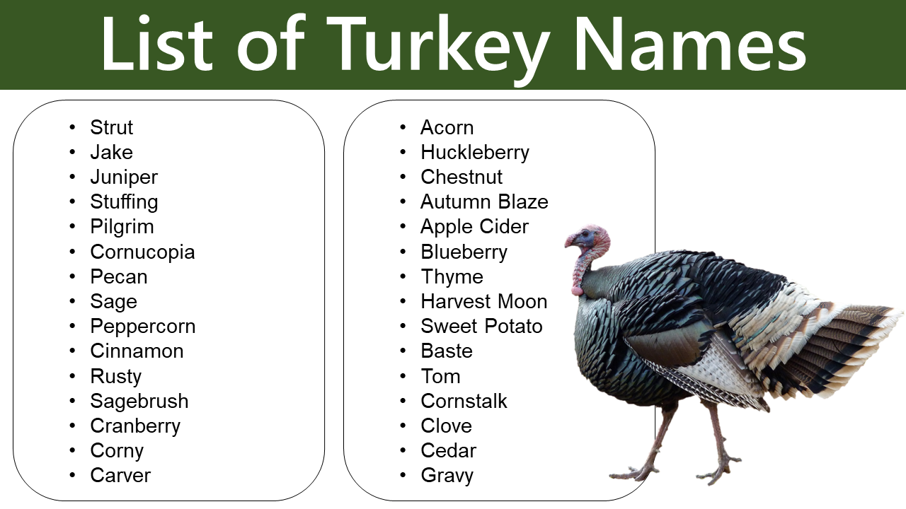 Turkey Names