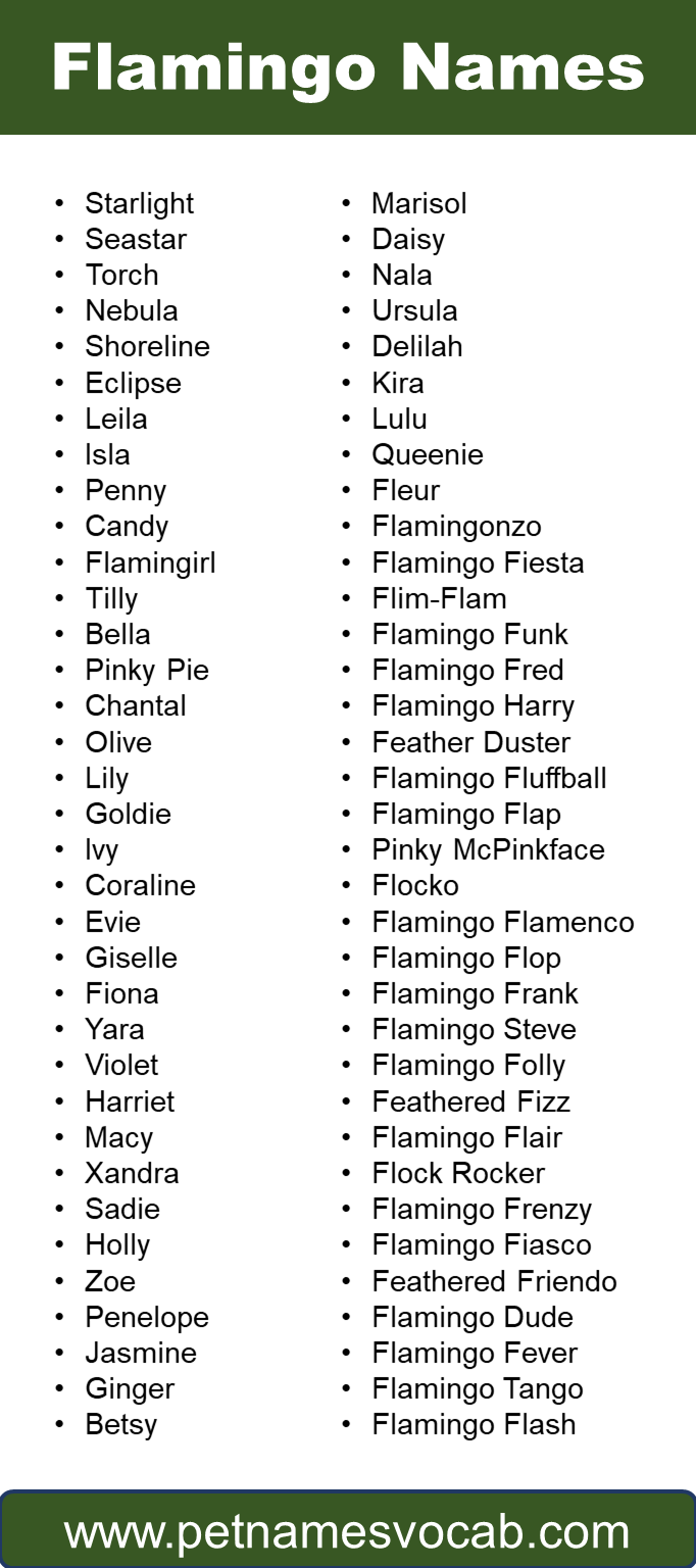 Names for Flamingo