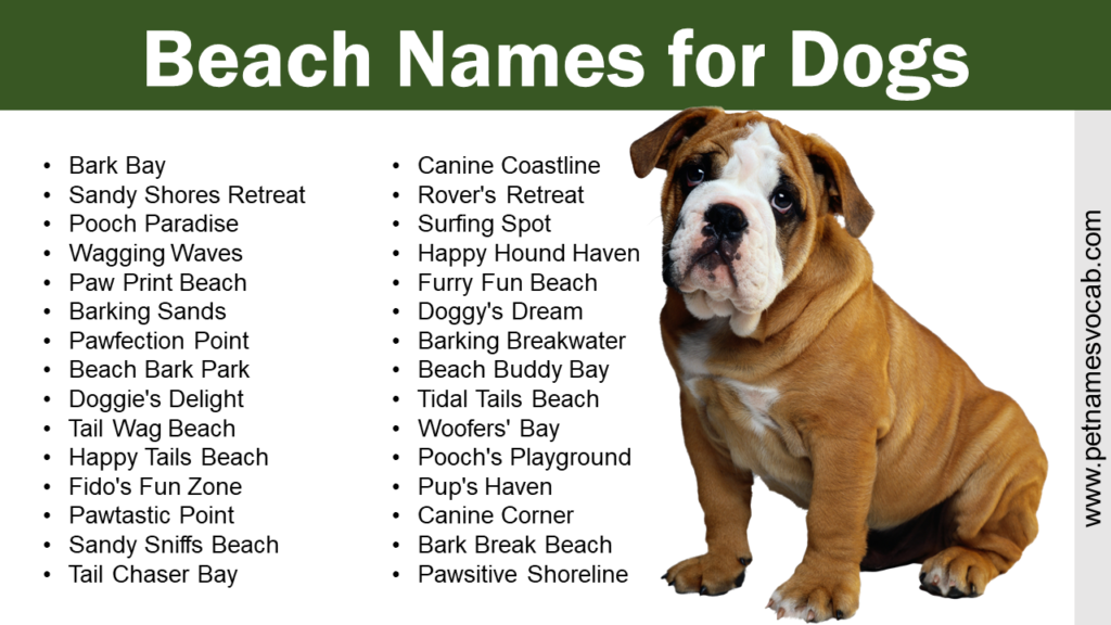 beach-names-for-dogs-male-female-pet-names-vocab