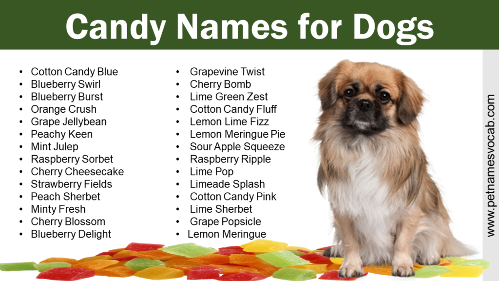 candy-names-for-dogs-male-female-pet-names-vocab