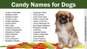 Candy Names for Dogs