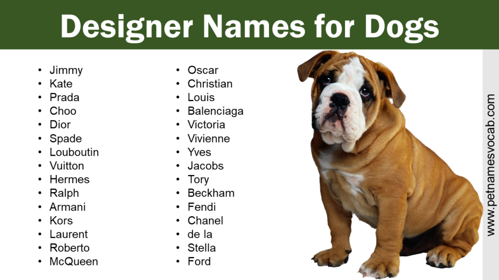 Designer Names for Dogs Male and Female Pet Names Vocab