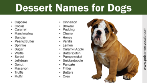 Dessert Names for Dogs