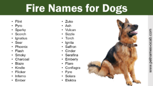 Fire Names for Dogs