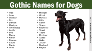 Gothic Names for Dogs