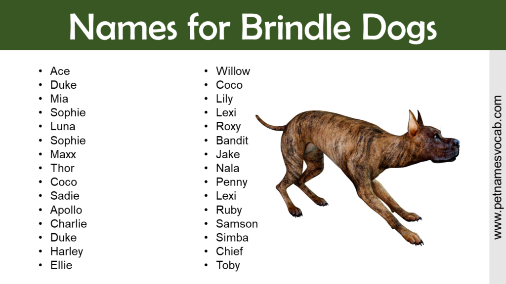 List of Names for Brindle Dogs - Pet Names Vocab