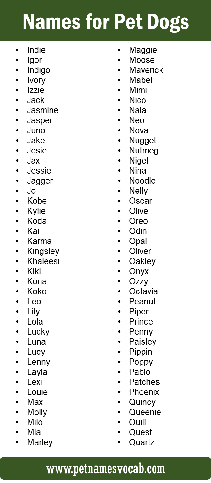 Names for Pet Dogs