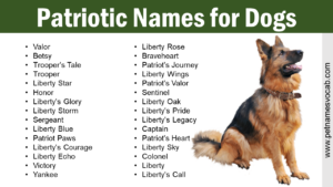 Patriotic Names for Dogs