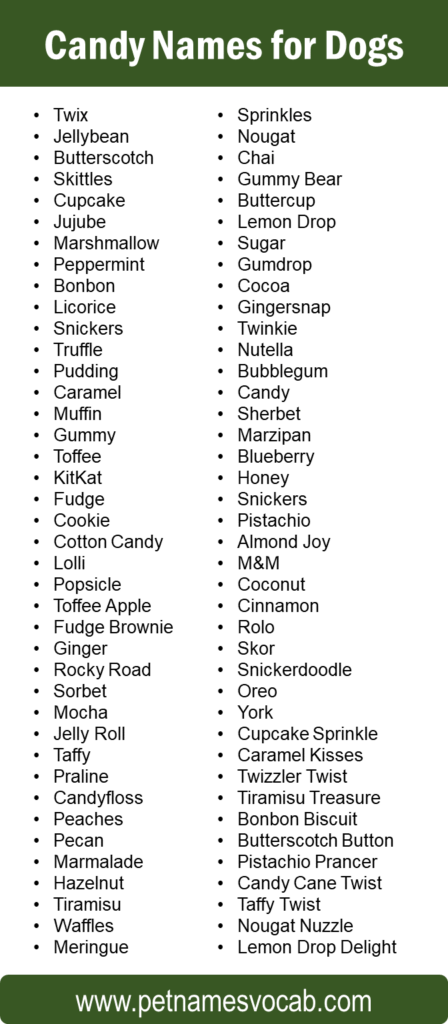 Candy Names for Dogs: Male & Female - Pet Names Vocab