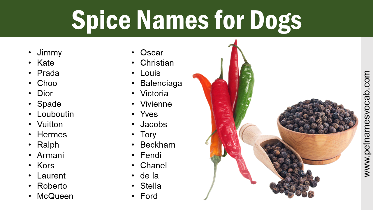 Dog Names Inspired by Spices