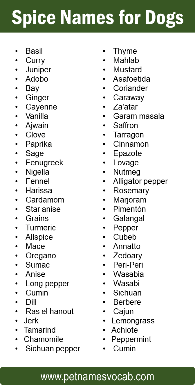 Dog Names Inspired by Spices
