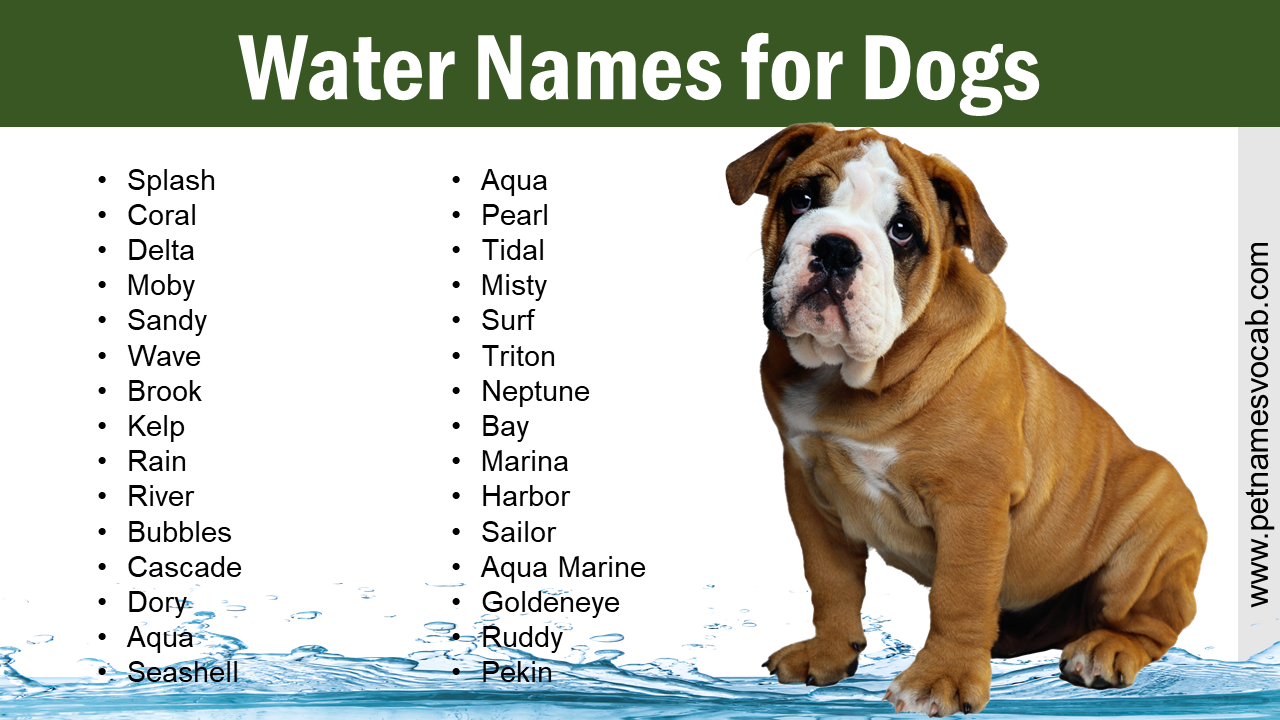 Water Names for Dogs