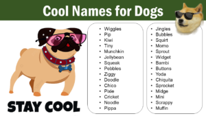 Cool Names for Dogs