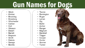 Gun Names for Dogs