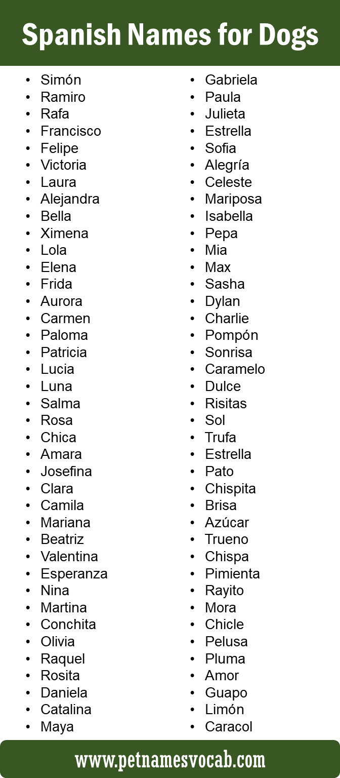 Spanish Names for Dogs