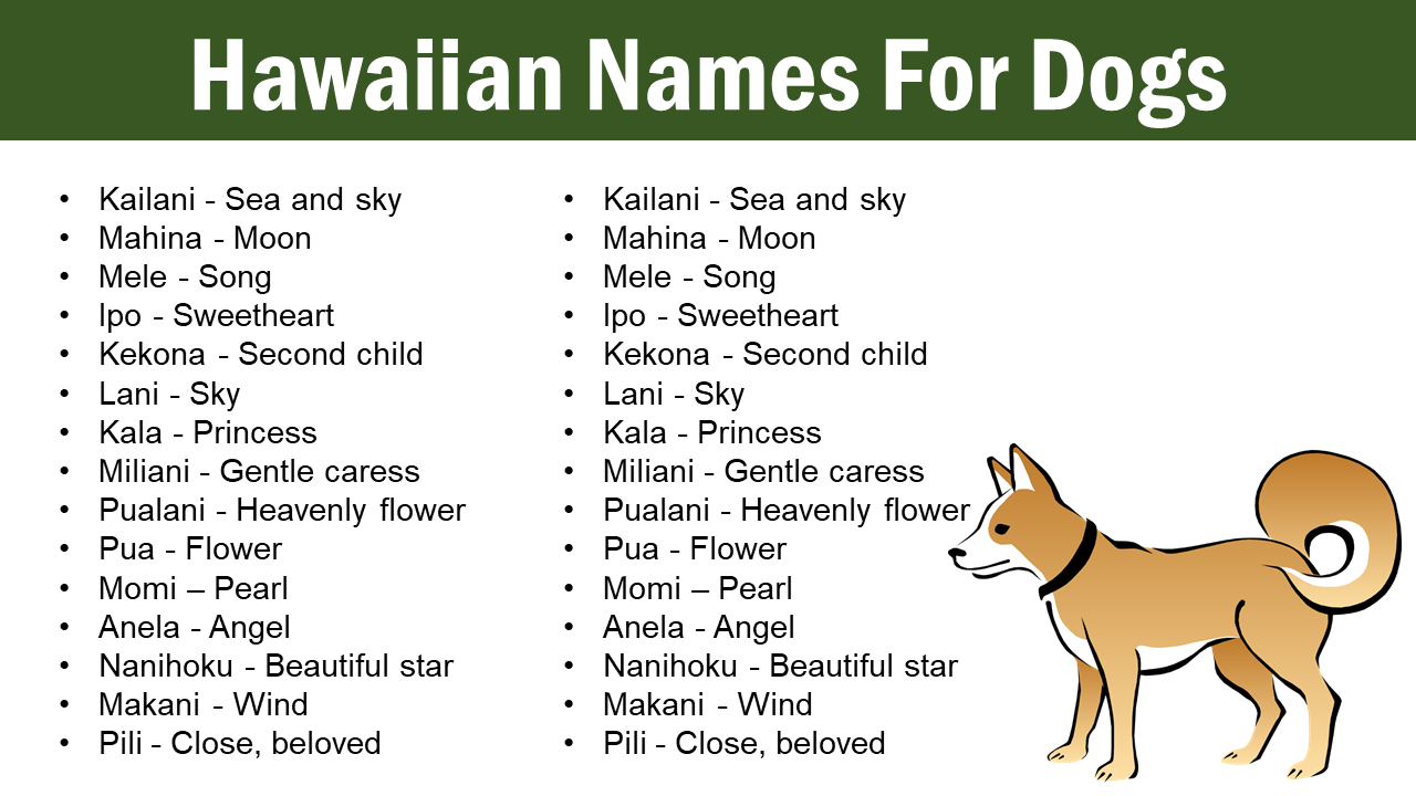 Hawaiian names for dogs: Male & Female - Pet Names Vocab