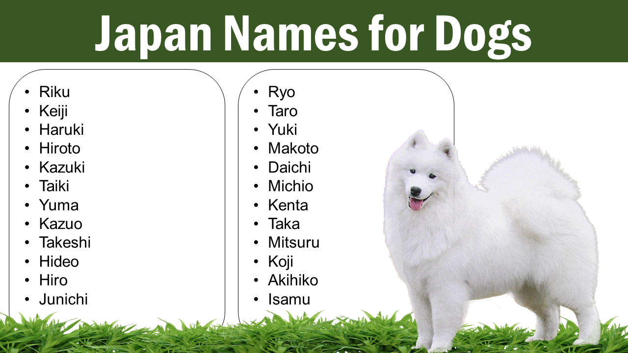 Japan Names for Dogs