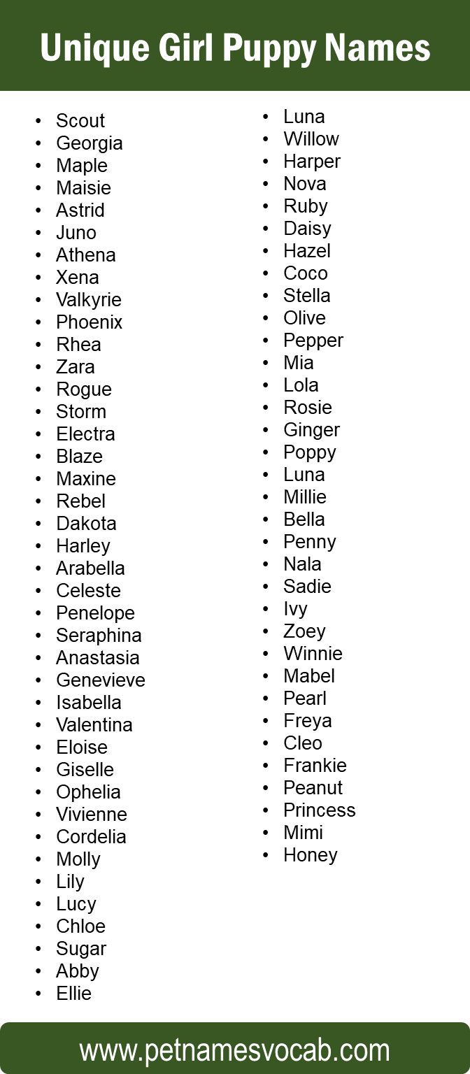 Unique Girl Puppy Names