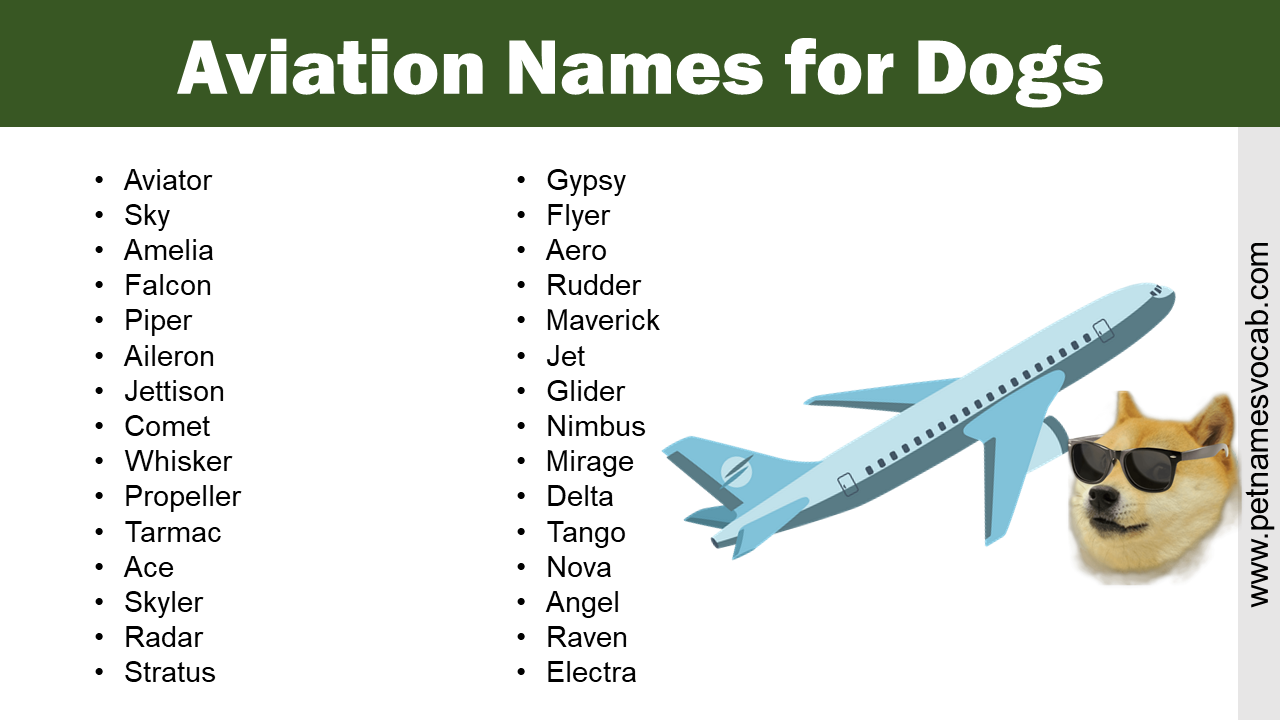 Aviation Names for Dogs