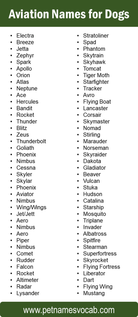 aviation-names-for-dogs-pet-names-vocab