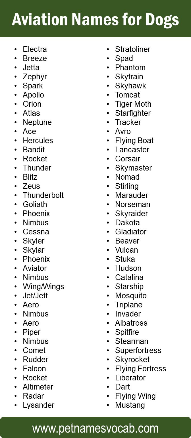 Aviation Names for Dogs