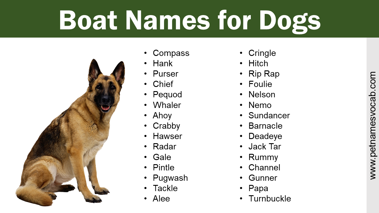 Boat Names for Dogs