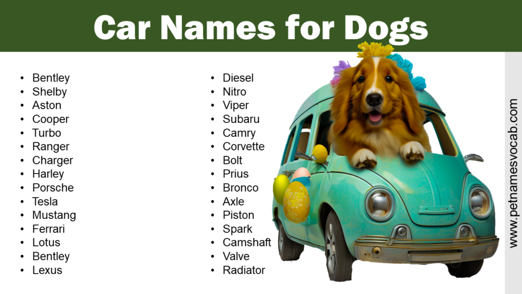 car-names-for-dogs-pet-names-vocab