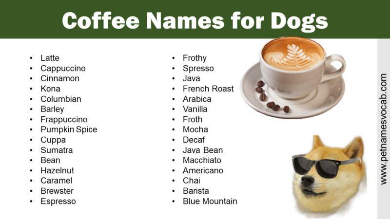 list-of-coffee-names-for-dogs-pet-names-vocab