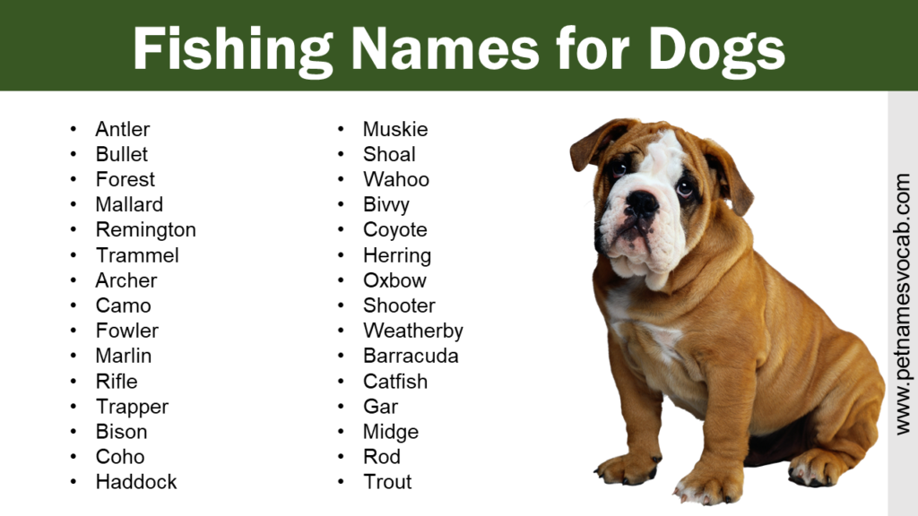 fishing-names-for-dogs-pet-names-vocab