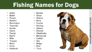Fishing Names for Dogs