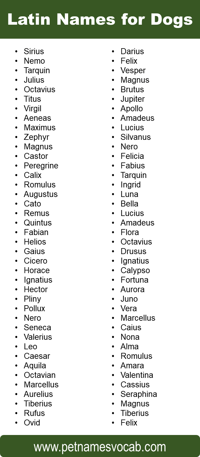 Latin Names for Dogs