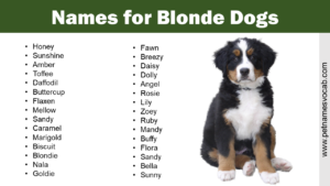 Names for Blonde Dogs