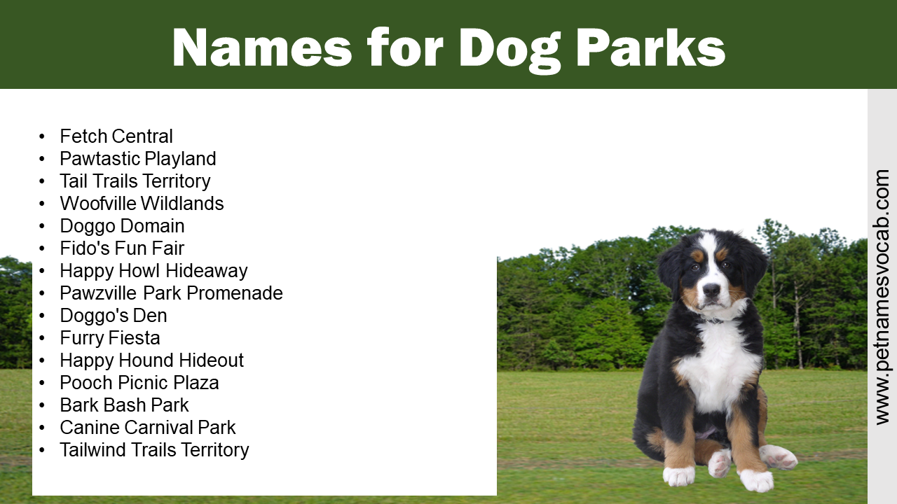 Names for Dog Park