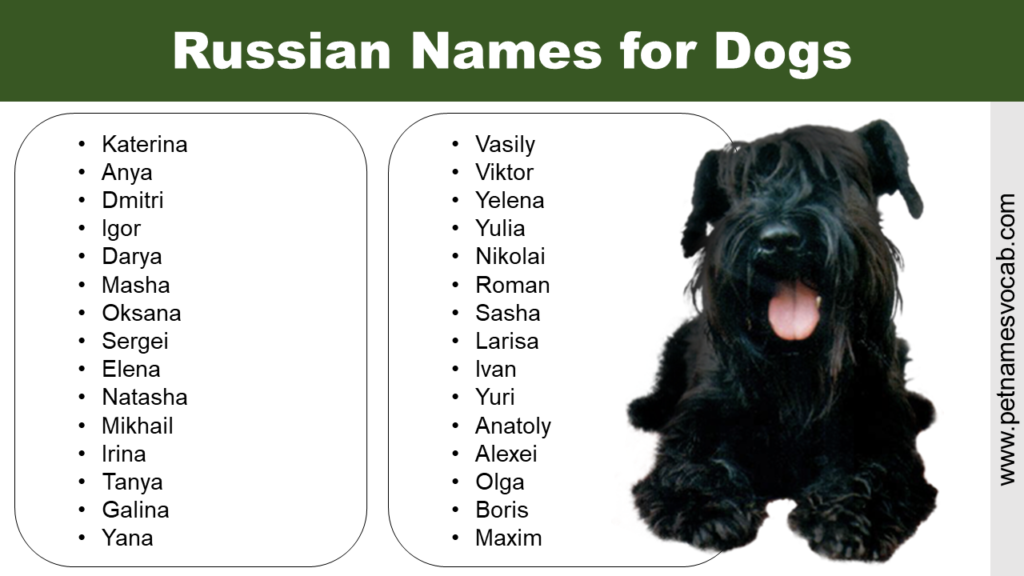 Russian Dog Names 1024x576 