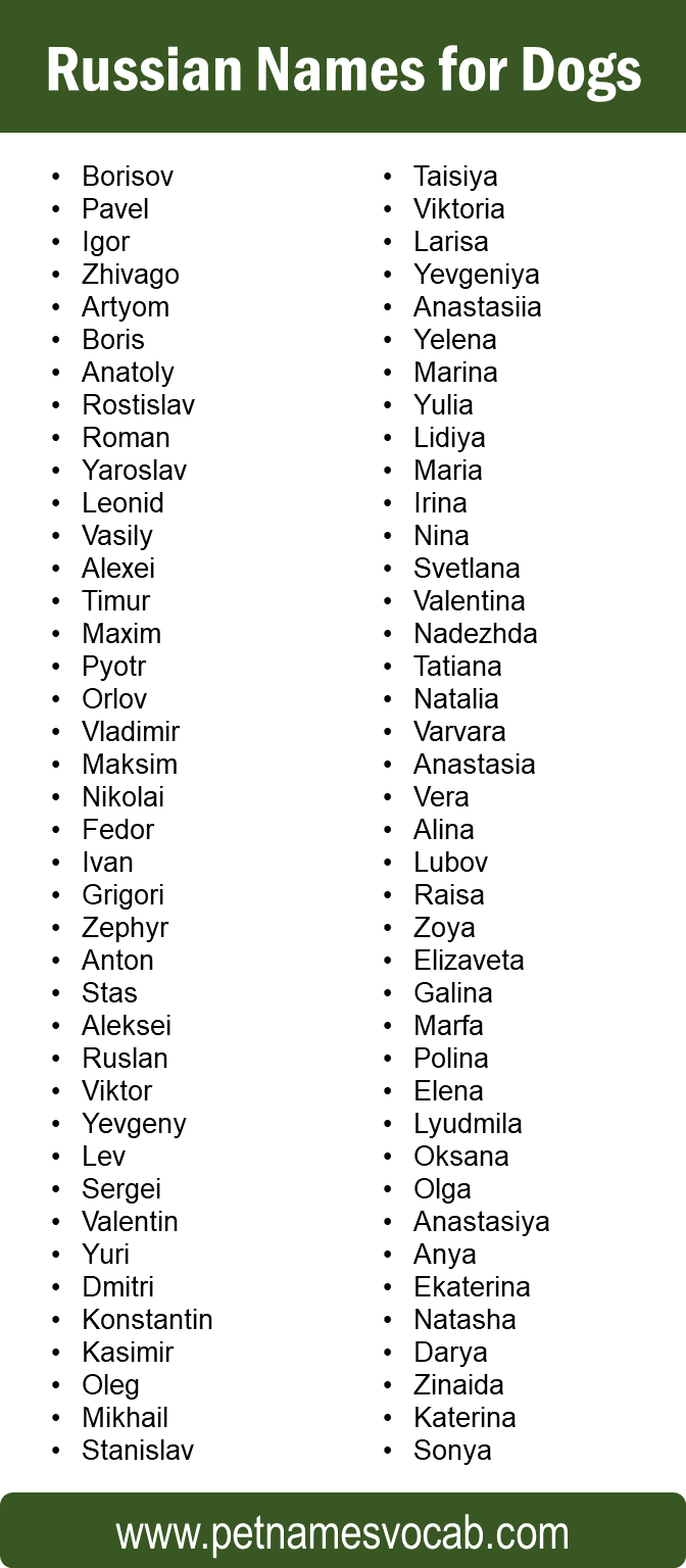 Russian Names for Dogs