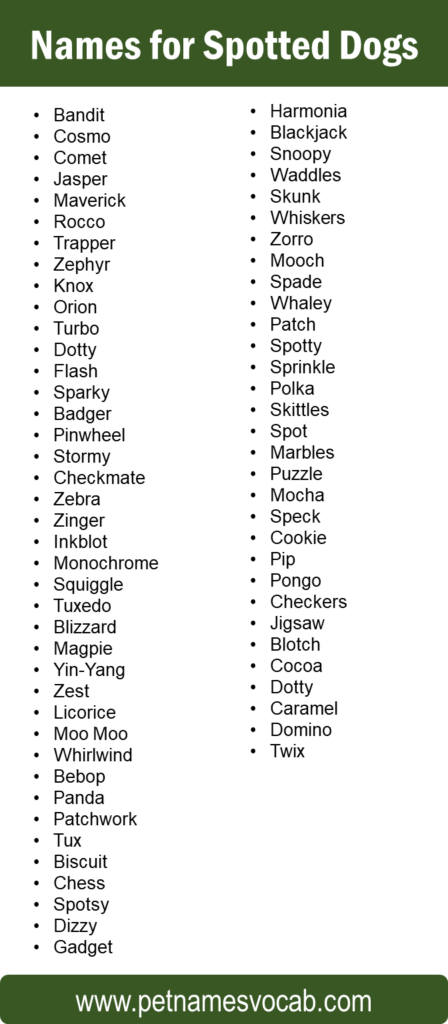 list-of-names-for-spotted-dogs-pet-names-vocab