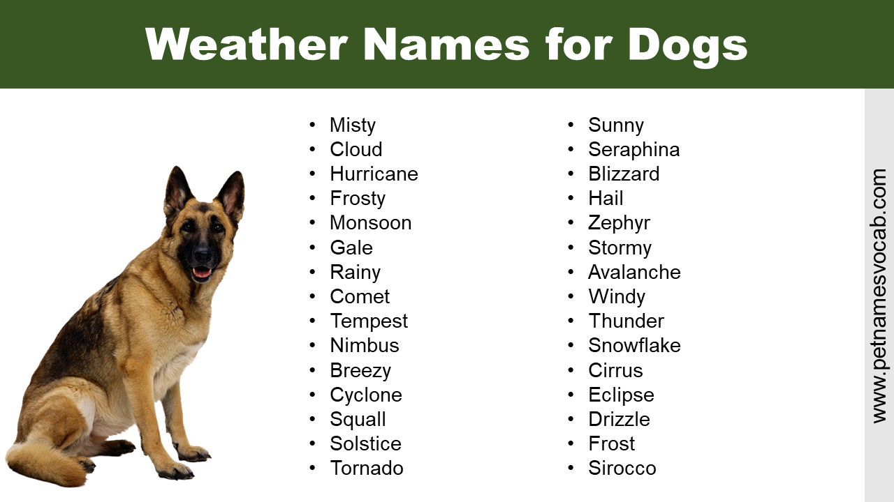Weather Names for Dogs