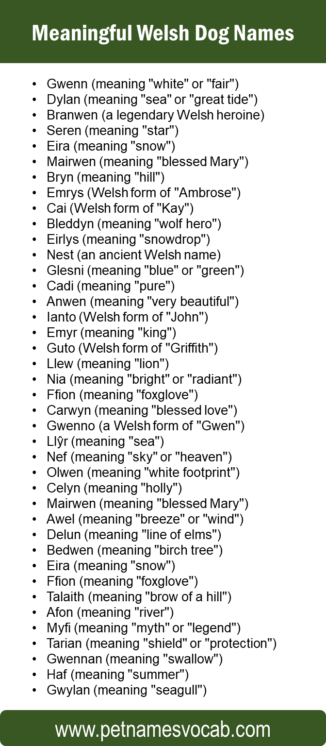 Welsh Names for A Dog