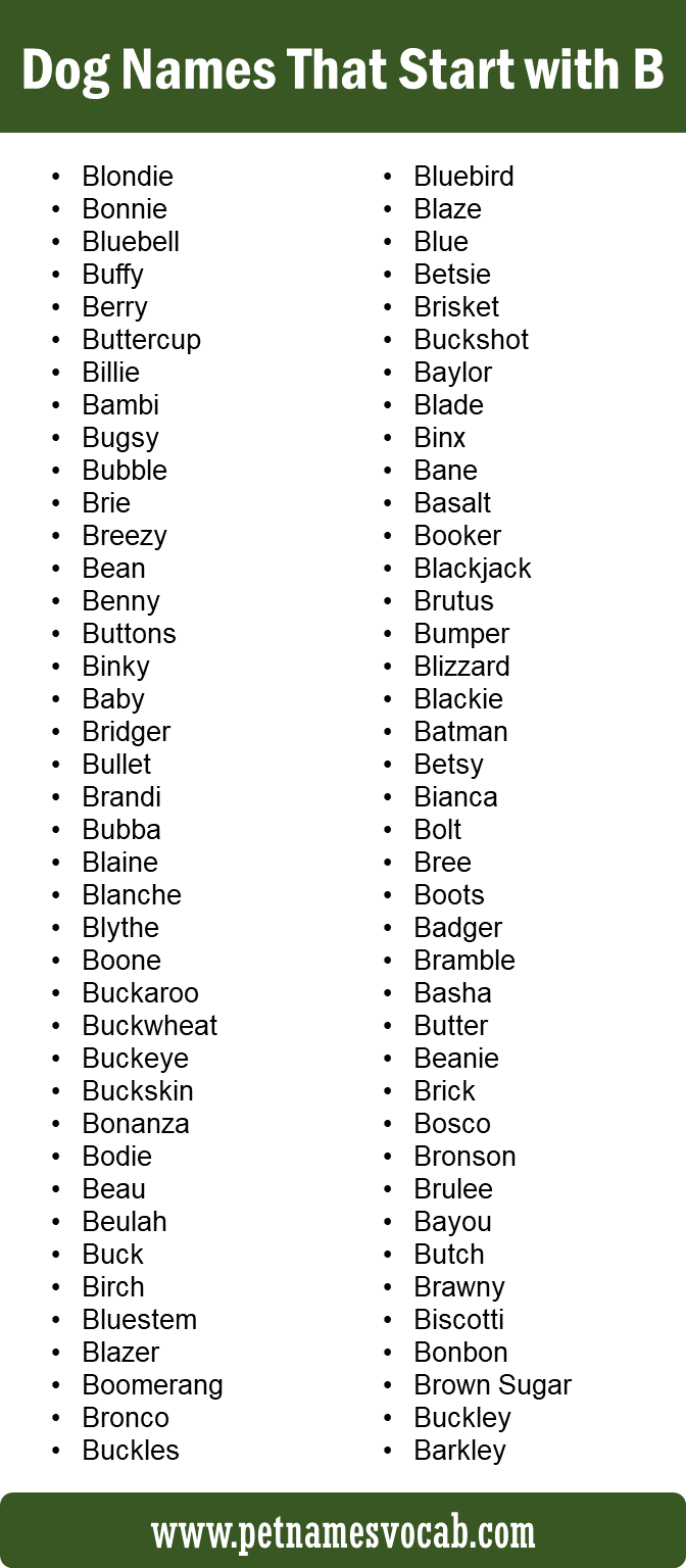 Dog names with B