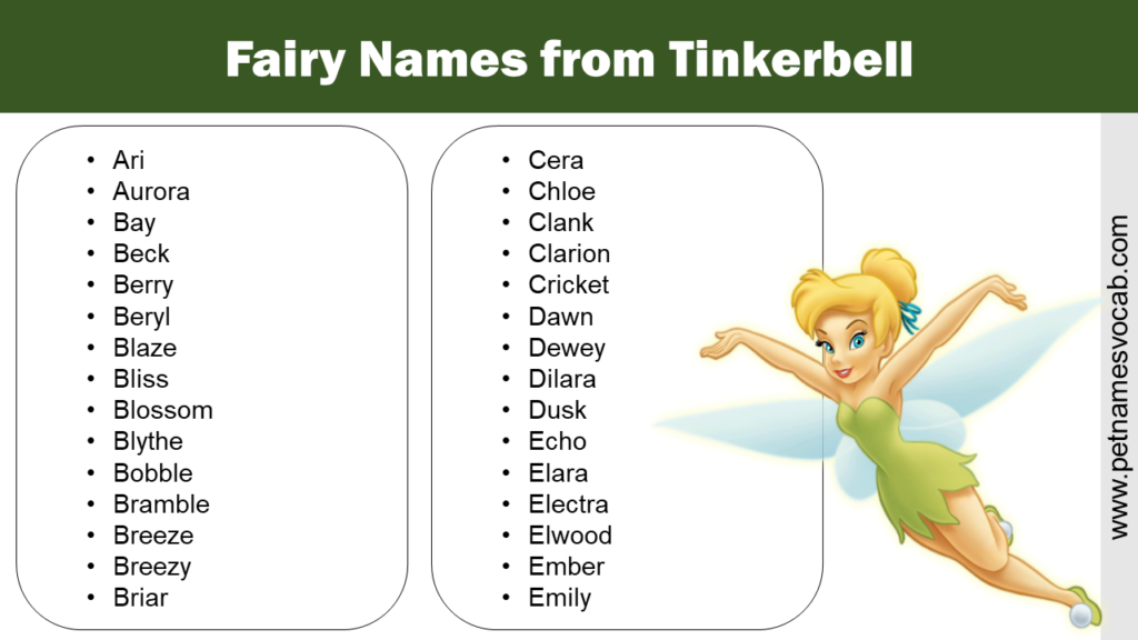 Exploring The Magical World Of Tinkerbell Character Names