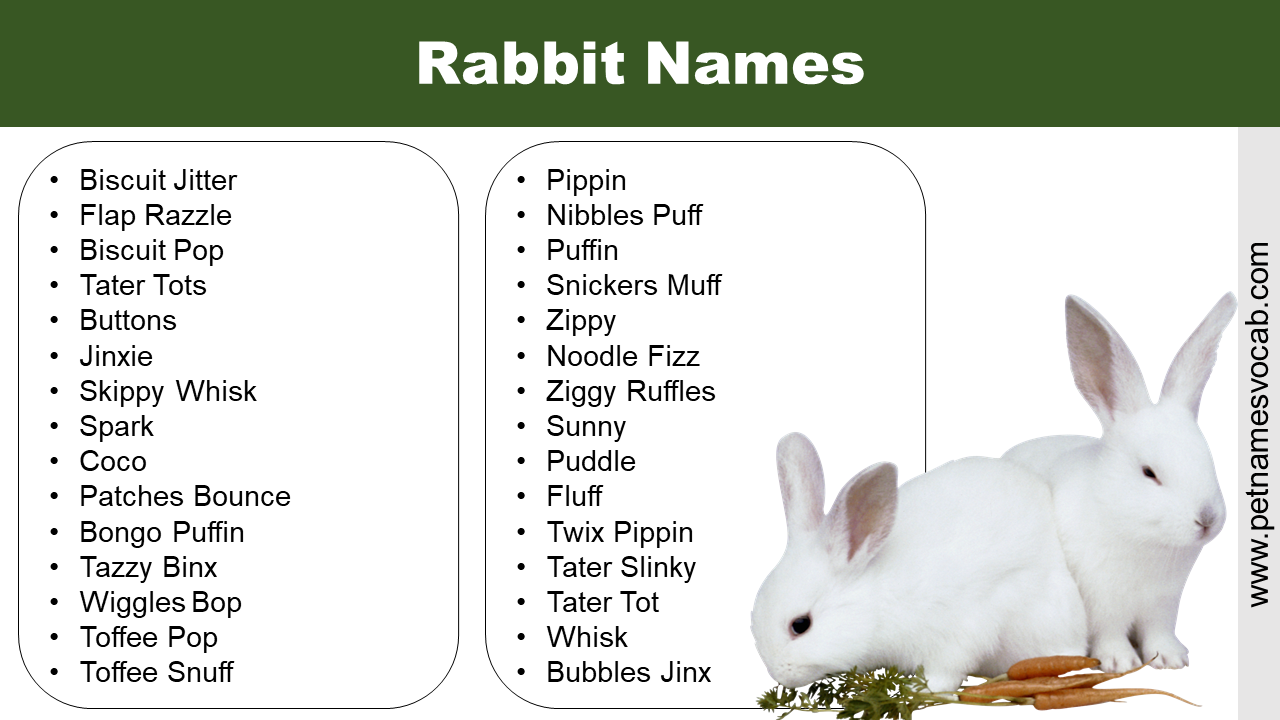 The 101 Cutest And Cutest Names For Bunnies Ever.