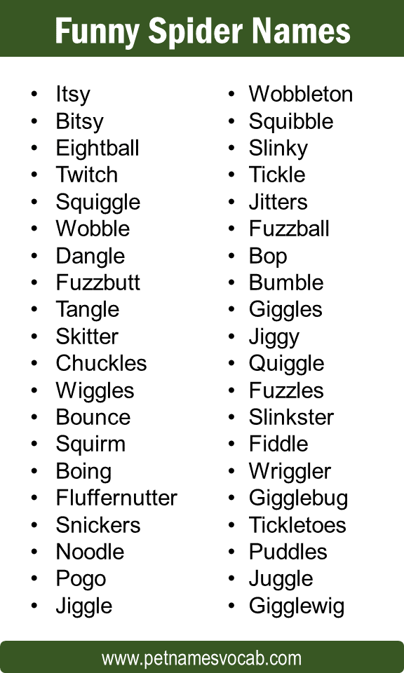Funny spider names