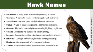 Hawk Names