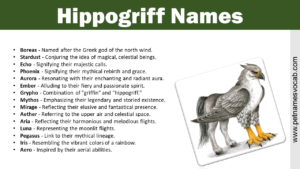 Hippogriff Names