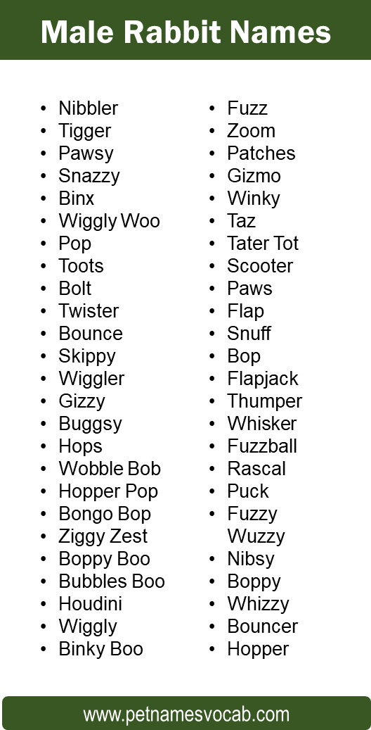 Male Rabbit Names