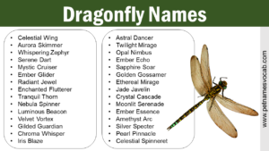 Names for Dragonflies